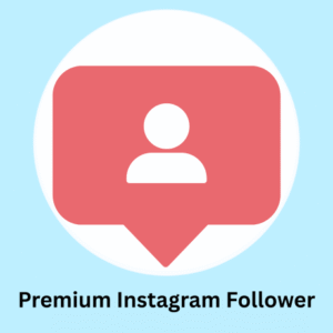 10k Premium Instagram Follower